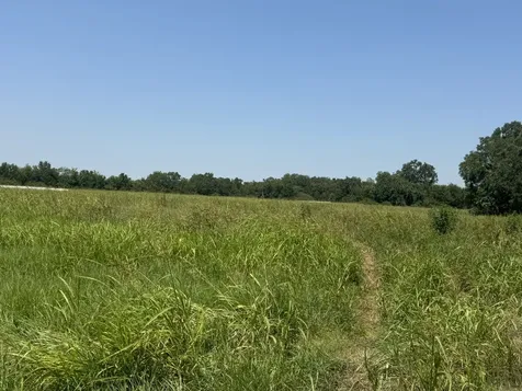 Tbd County Road 230 Glen Flora TX 77443