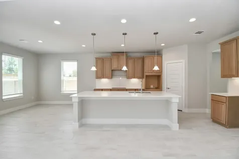 3038 Native Spring Drive Spring TX 77373