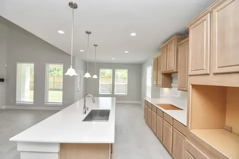 3038 Native Spring Drive Spring TX 77373
