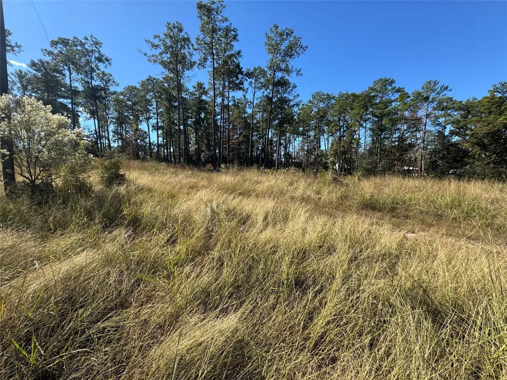 064 Private Road 6026 Tract 1-64 Brookeland TX 75931