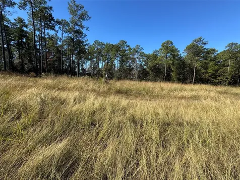 064 Private Road 6026 Tract 1-64 Brookeland TX 75931