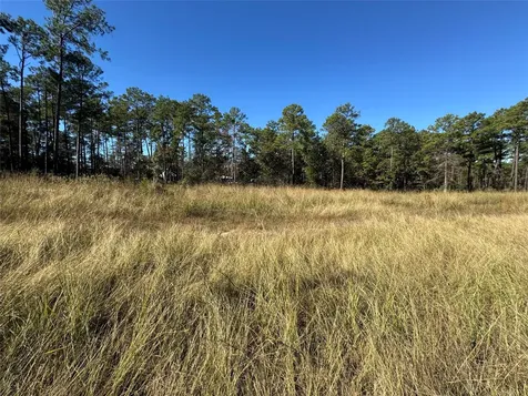 064 Private Road 6026 Tract 1-64 Brookeland TX 75931
