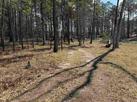064 Private Road 6026 Tract 1-64 Brookeland TX 75931