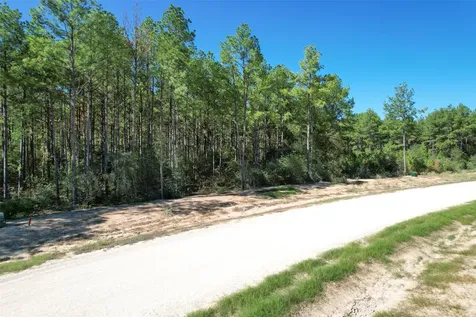 15409 Forest Grove Drive Willis TX 77378