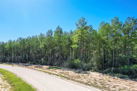 15409 Forest Grove Drive Willis TX 77378