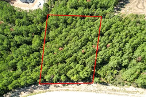 15409 Forest Grove Drive Willis TX 77378