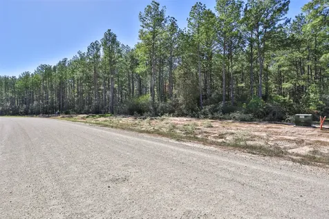15409 Forest Grove Drive Willis TX 77378