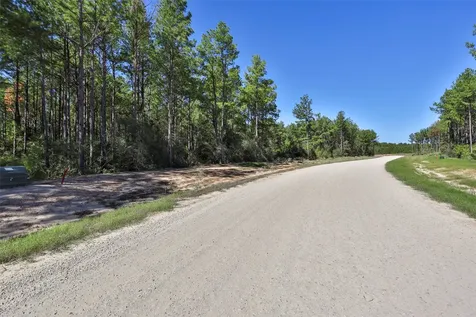 15409 Forest Grove Drive Willis TX 77378