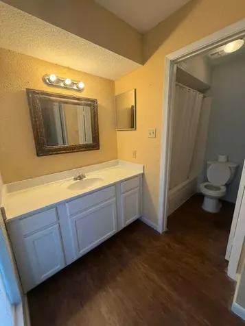 781 Country Place Drive 1073 Houston TX 77079