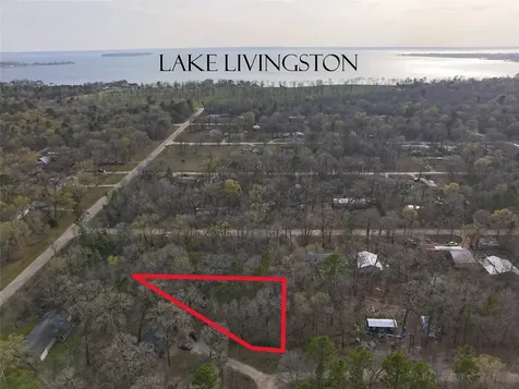 Tbd Mossy Drive Livingston TX 77351