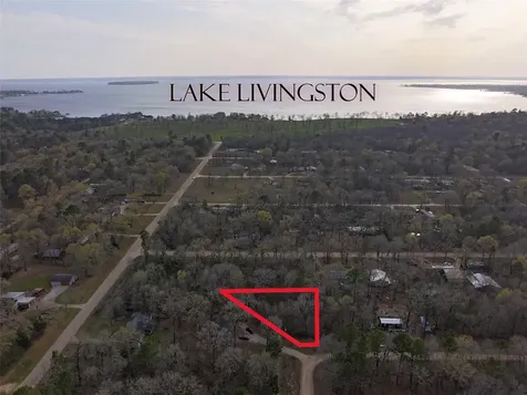 Tbd Mossy Drive Livingston TX 77351