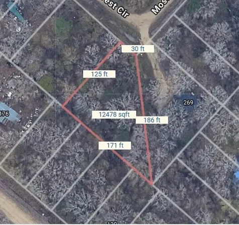 Tbd Mossy Drive Livingston TX 77351