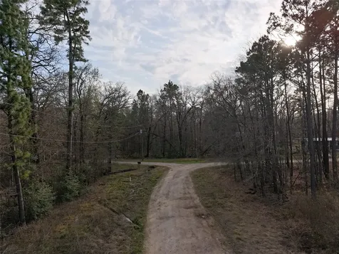 Tbd Mossy Drive Livingston TX 77351