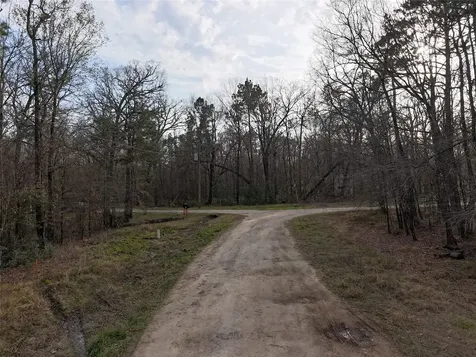 Tbd Mossy Drive Livingston TX 77351