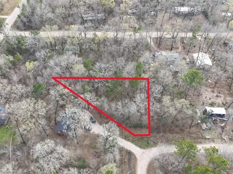 Tbd Mossy Drive Livingston TX 77351