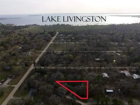Tbd Mossy Drive Livingston TX 77351