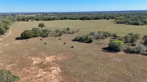 7180 County Road 283 Harwood TX 78632