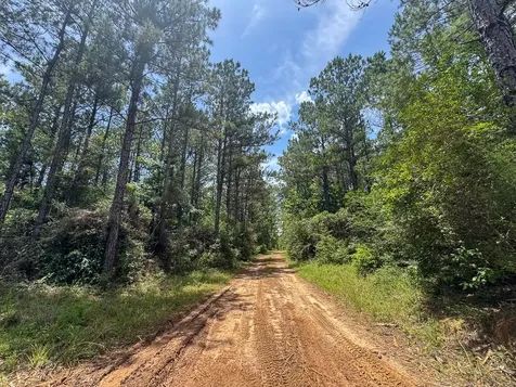 7 Benny Griffin Road Livingston TX 77351
