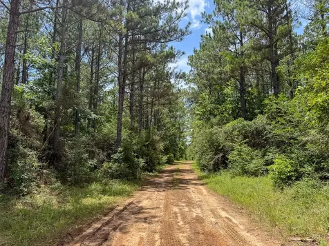 7 Benny Griffin Road Livingston TX 77351