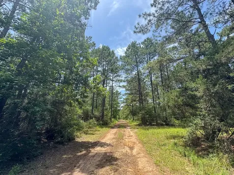 7 Benny Griffin Road Livingston TX 77351