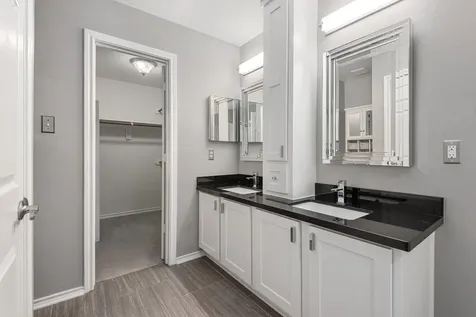 19 Musk Rose Court The Woodlands TX 77382