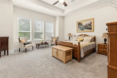231 Bee Balm Court Conroe TX 77304