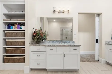 231 Bee Balm Court Conroe TX 77304