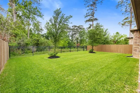 231 Bee Balm Court Conroe TX 77304