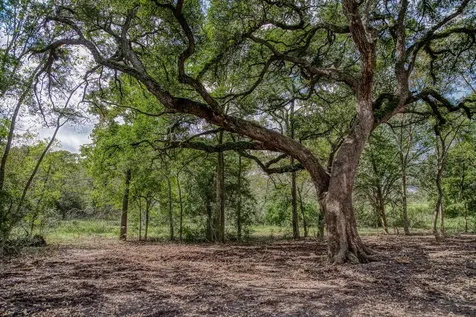 Tract 2 Sun Oil Road Brenham TX 77833