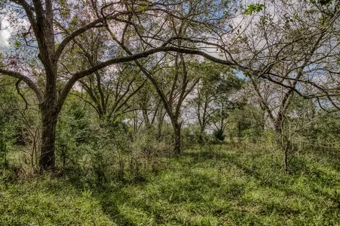 Tract 2 Sun Oil Road Brenham TX 77833