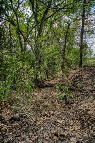 Tract 2 Sun Oil Road Brenham TX 77833