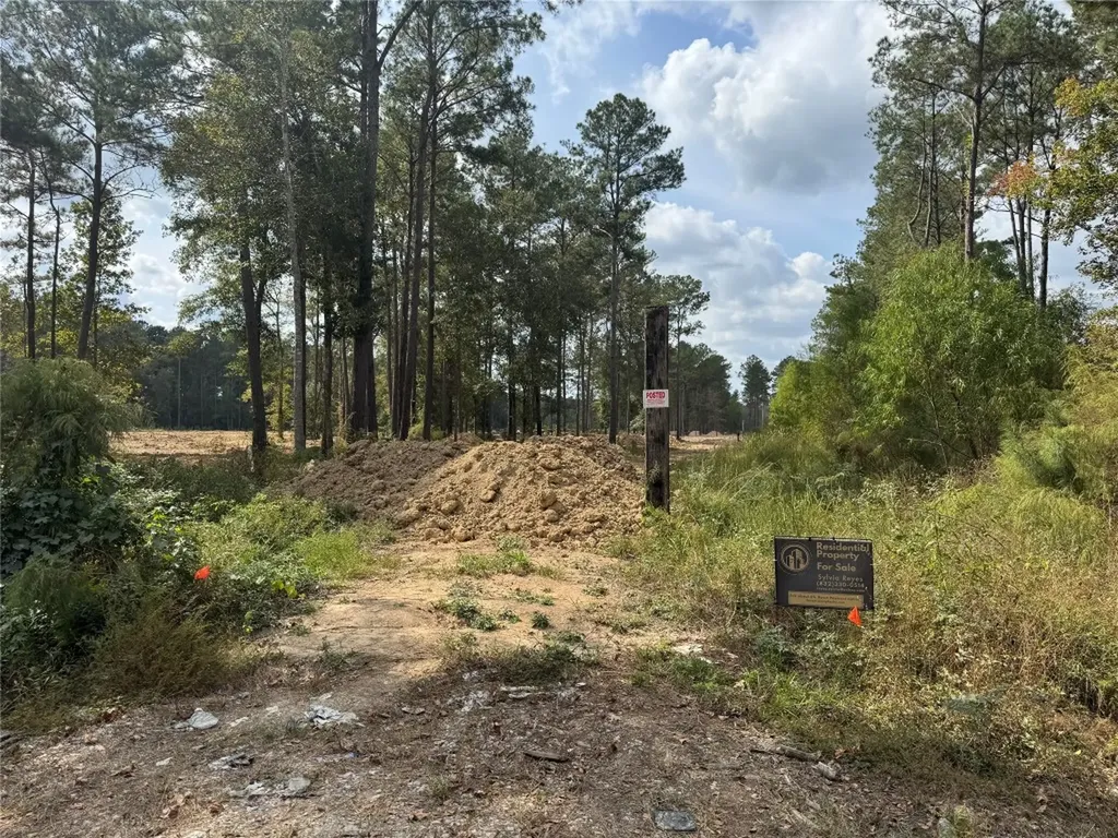 0 County Road 2235 Cleveland TX 77327