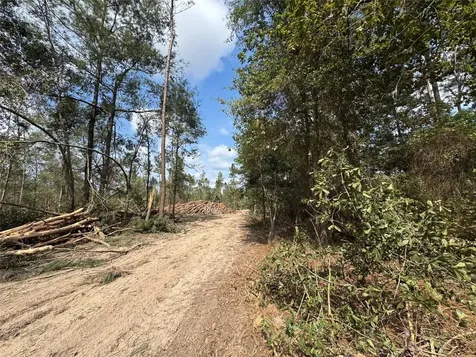0 County Road 2235 Cleveland TX 77327