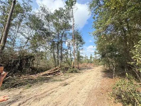 0 County Road 2235 Cleveland TX 77327