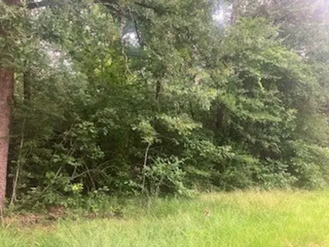 000 Wildwood Flower Circle Livingston TX 77351