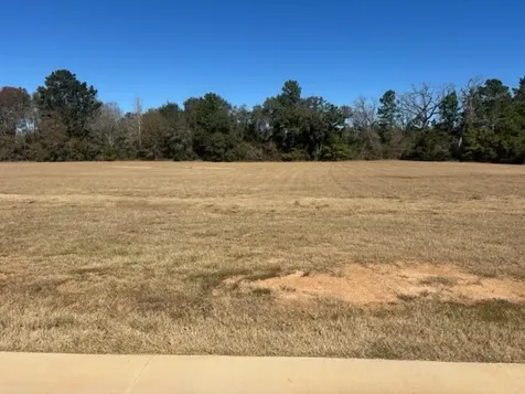 213 Hidden Oak Drive Hockley TX 77447