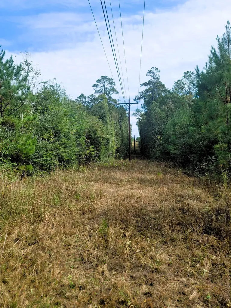 0000 Us Highway 190 E Livingston TX 77351