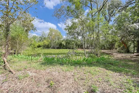 6306 County Road 244 Brazoria TX 77422