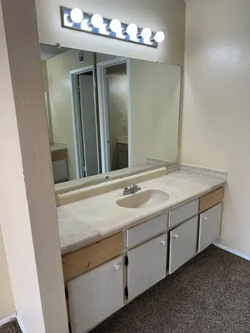 12244 Bob White Drive 122 Houston TX 77035