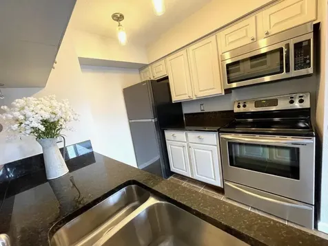 18519 Egret Bay Boulevard 1405 Webster TX 77058