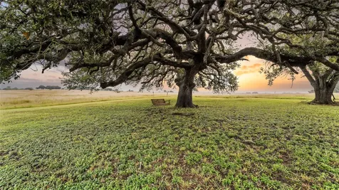 81 Private Road 3095 Shiner TX 77984