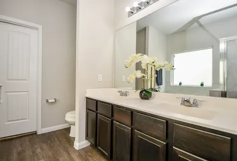 4834 Purple Wisteria Lane Spring TX 77373
