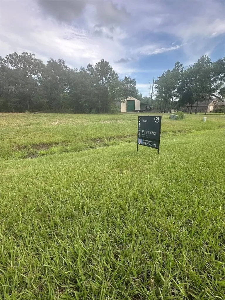 7311 Bayou Timbers Drive Alvin TX 77511