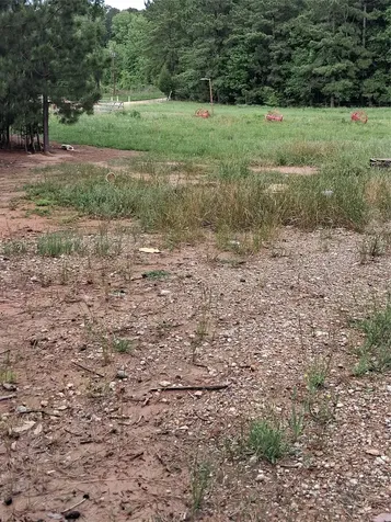 3646 Upper Leggett Road Livingston TX 77351