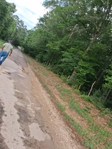 3646 Upper Leggett Road Livingston TX 77351