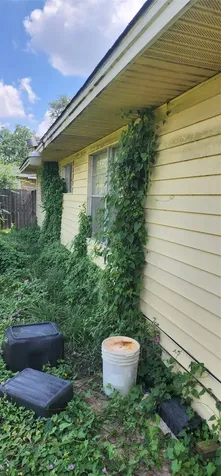 3123 Sunbeam Street Houston TX 77051