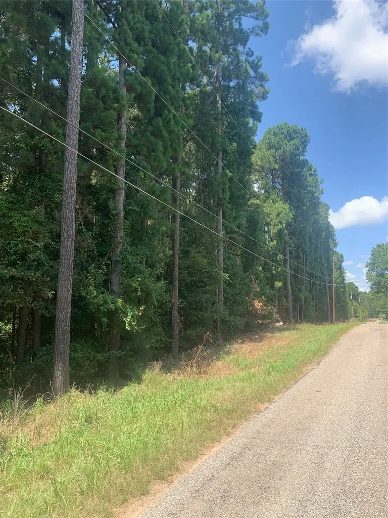 Cr 1145 Lundy Ln Lane Daingerfield TX 75638