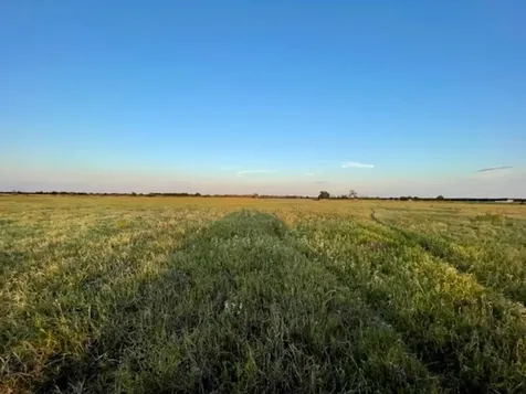 Tbd Cr 358 Gause TX 77857