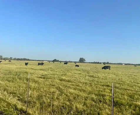 Tbd Cr 358 Gause TX 77857