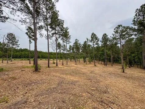0 Guerrant Road Huntsville TX 77320